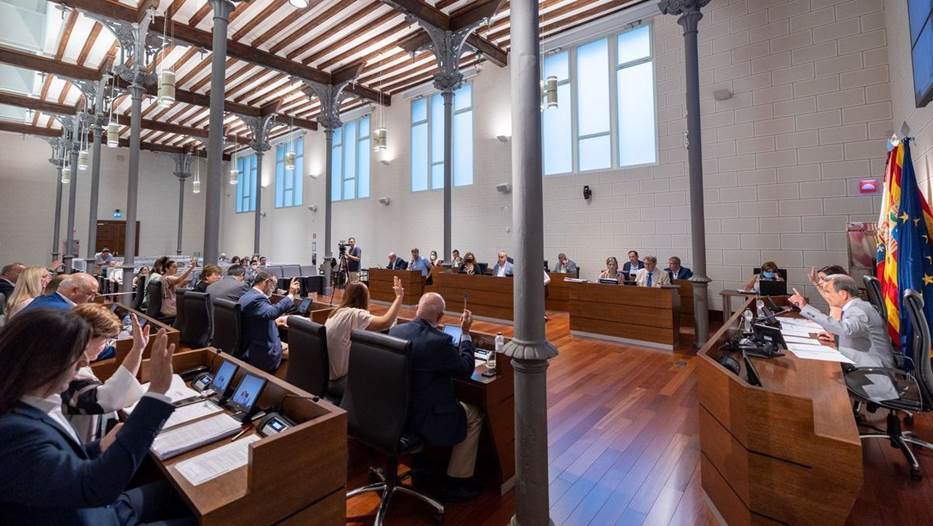 Pleno de la DPZ.